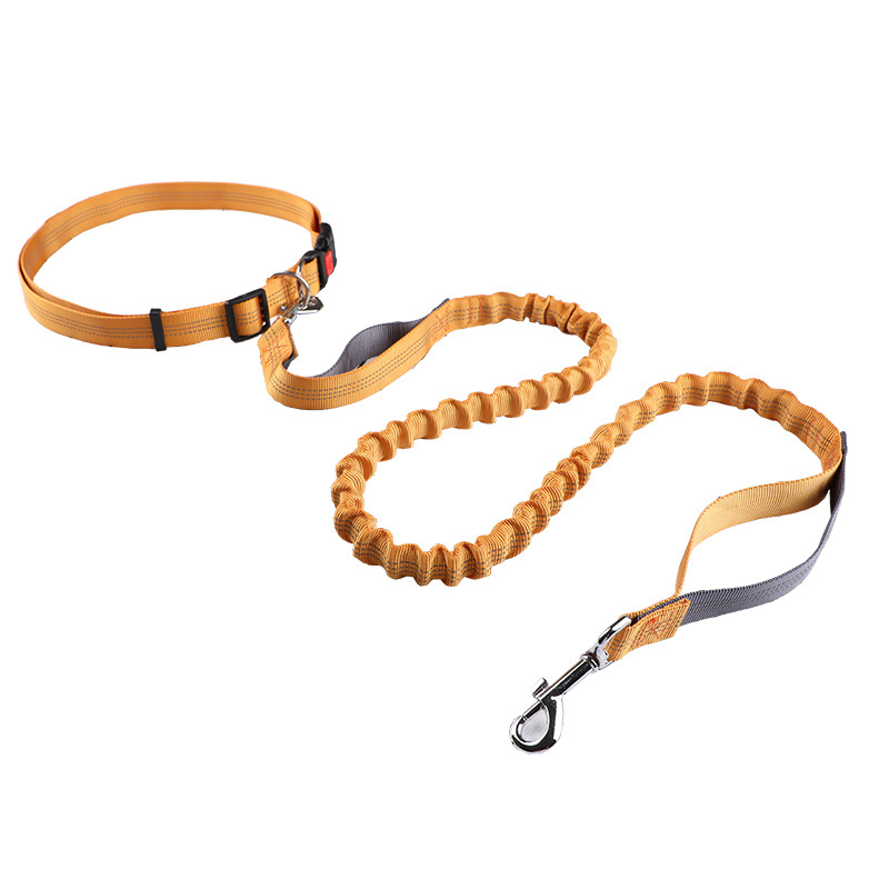Retractable Dog Leash - Pet leash Running leash, retractable dog
