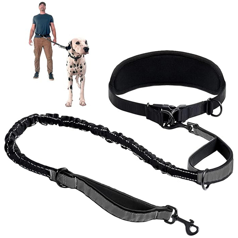 Retractable Dog Leash - Hands Free Dog Leash Dog Waist