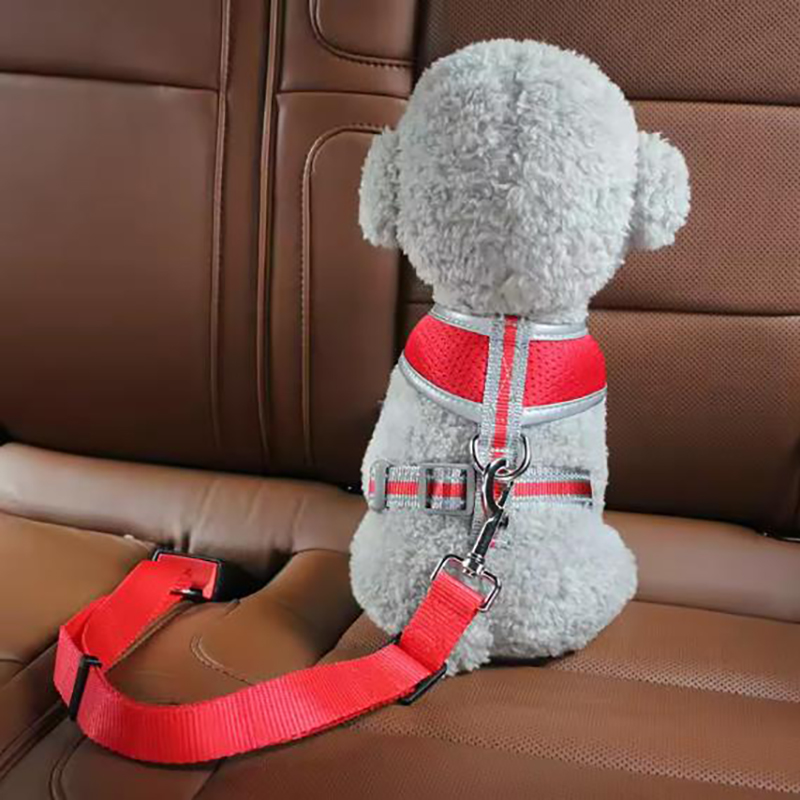 Dog seat belts hot sale pet ca - Retractable Dog Leash ulasan dan harga