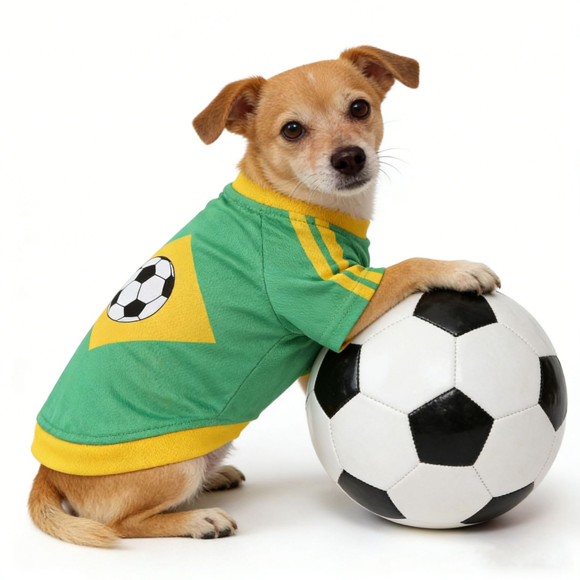 Football Pattern Dog Clothes B - Pet Supplies Jersey ulasan dan harga