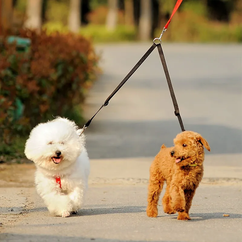 Outdoor Walking Two Dogs Leash - Retractable Dog Leash ulasan dan harga