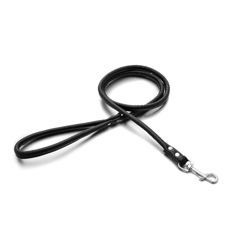 Pet Cat Puppy Dogs Leash Long  - Retractable Dog Leash ulasan dan harga