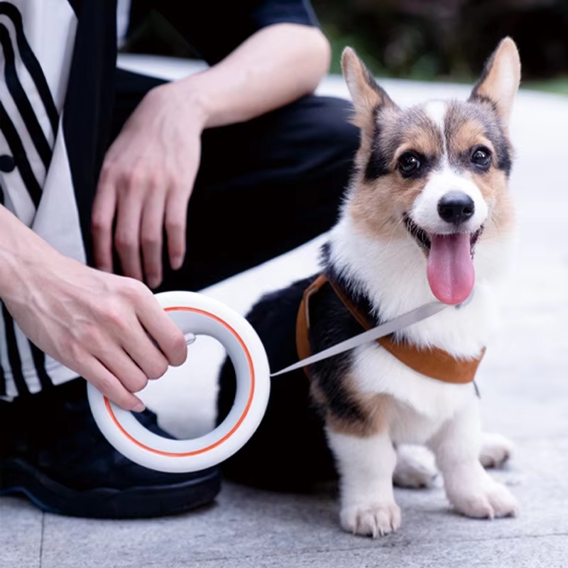 Moestar UFO 개폐식 가죽 끈 2 라이트 금속  - Retractable Dog Leash ulasan dan harga
