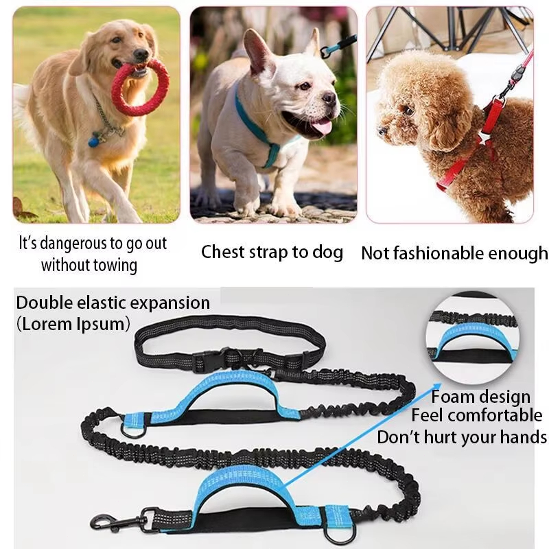 Double Elastic Reflective Runn - Retractable Dog Leash ulasan dan harga