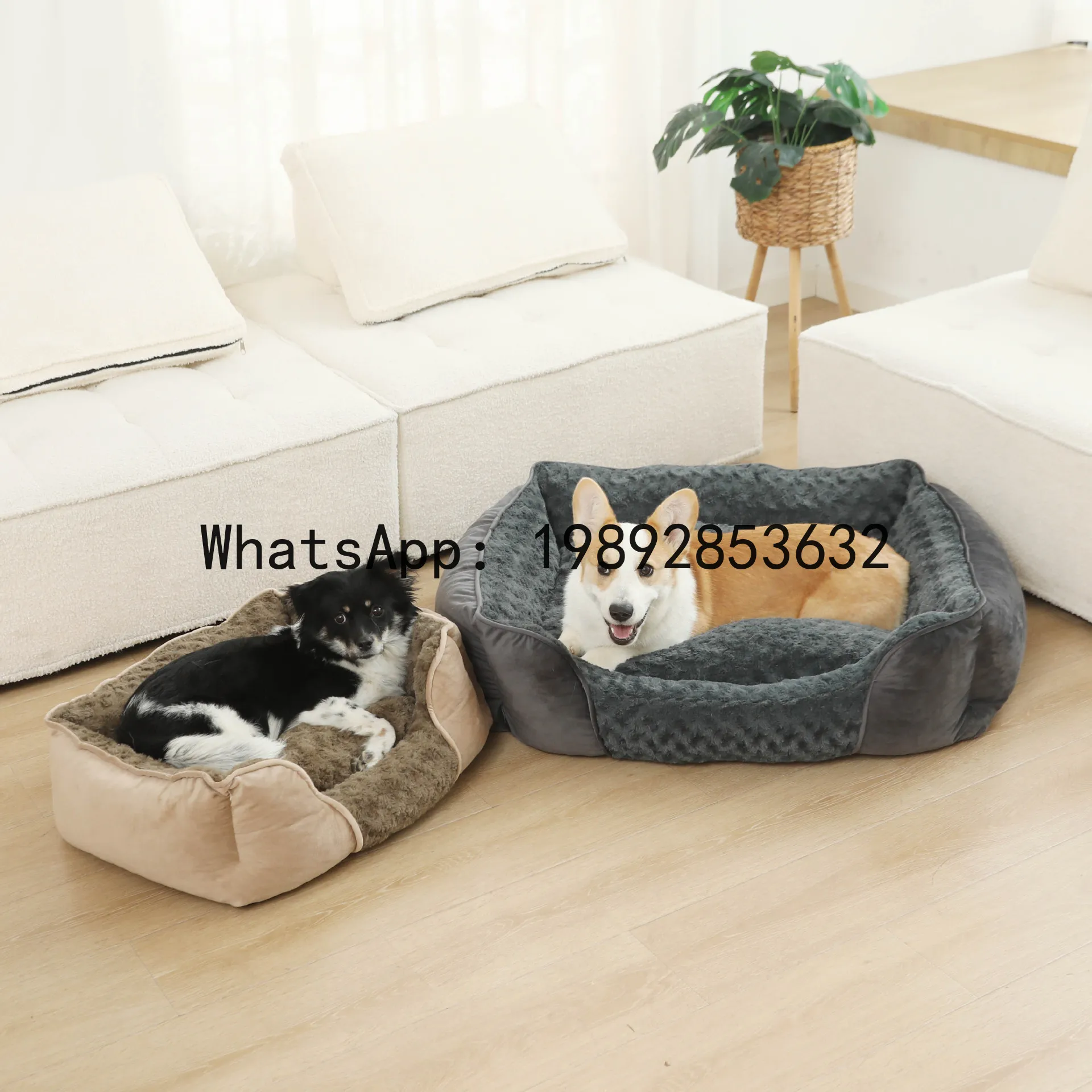 X cat house semi-enclosed dog  - Pet X Supplies & Tack Howell Mi ulasan dan harga