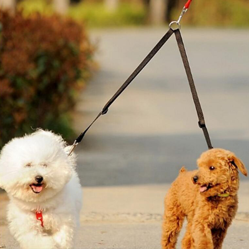 1pc Double Twin Dual Coupler D - Retractable Dog Leash ulasan dan harga