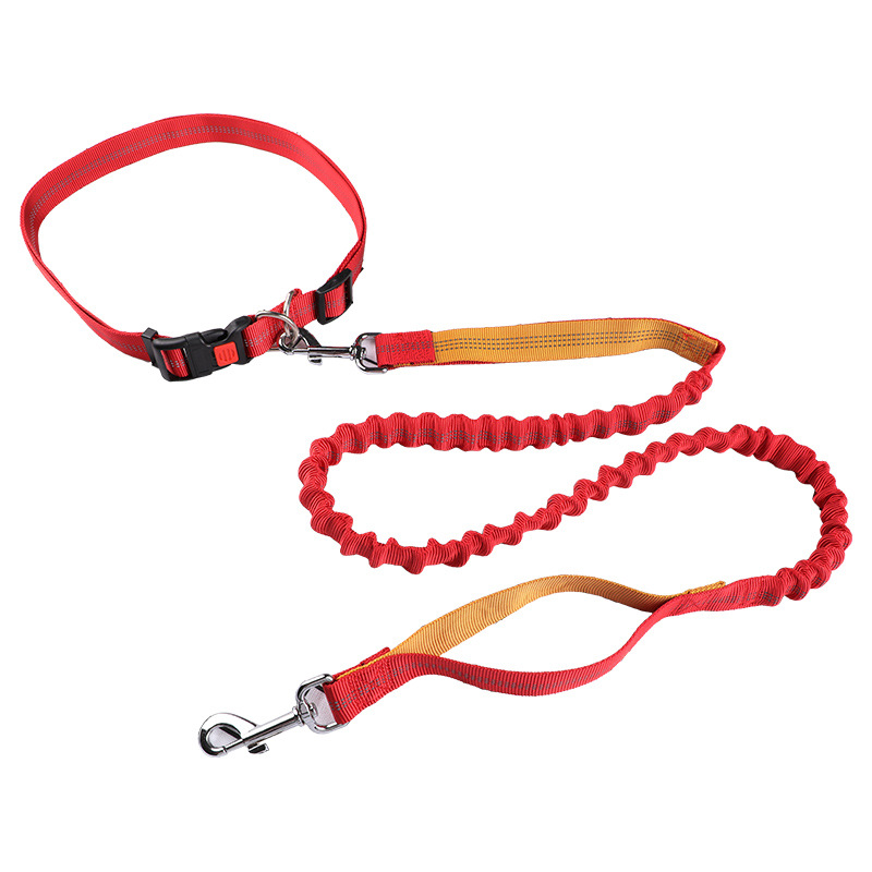 Pet leash Running leash, retra - Retractable Dog Leash ulasan dan harga