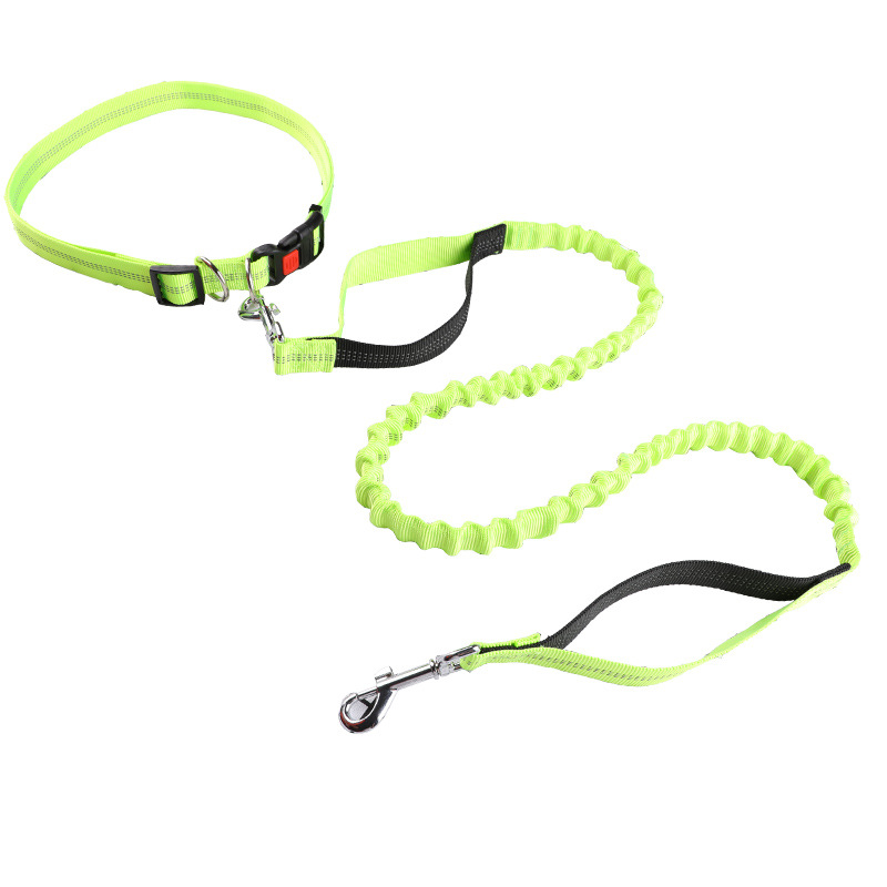 Pet leash Running leash, retra - Retractable Dog Leash ulasan dan harga