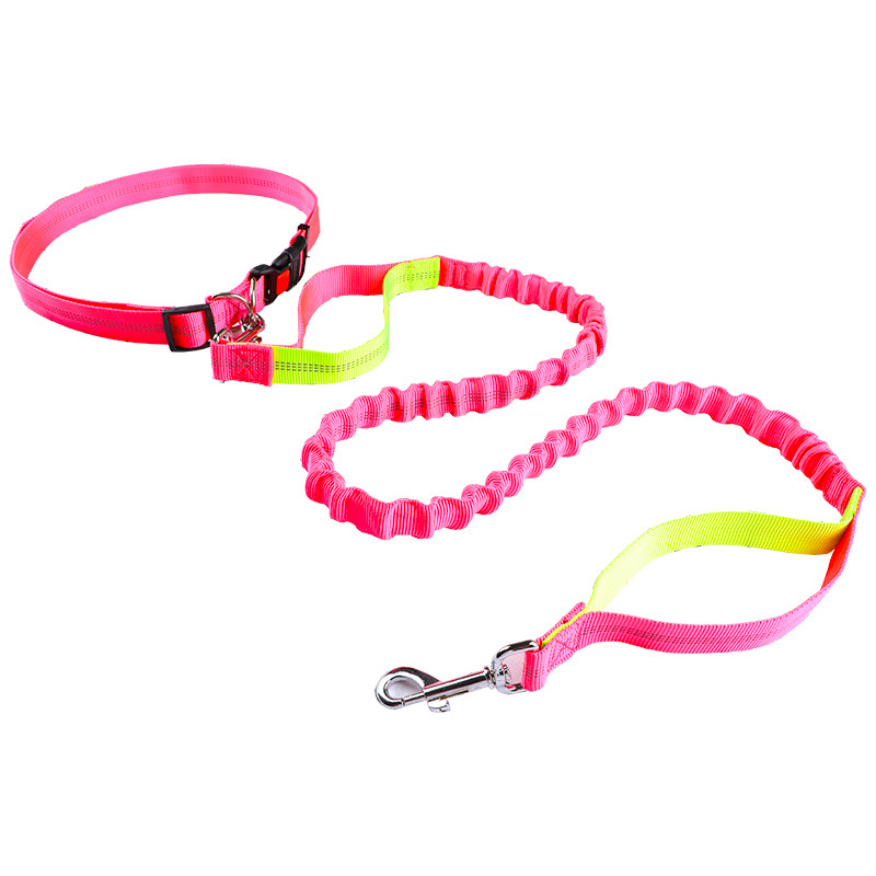 Pet leash Running leash, retra - Retractable Dog Leash ulasan dan harga