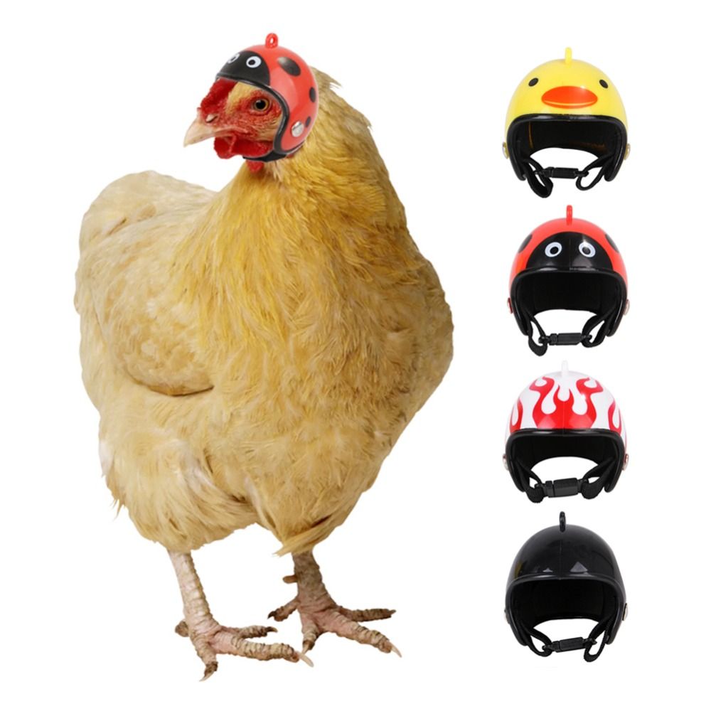 ABS Pet Supplies Funny Pet Pro - Pet X Supplies & Tack Howell Mi ulasan dan harga