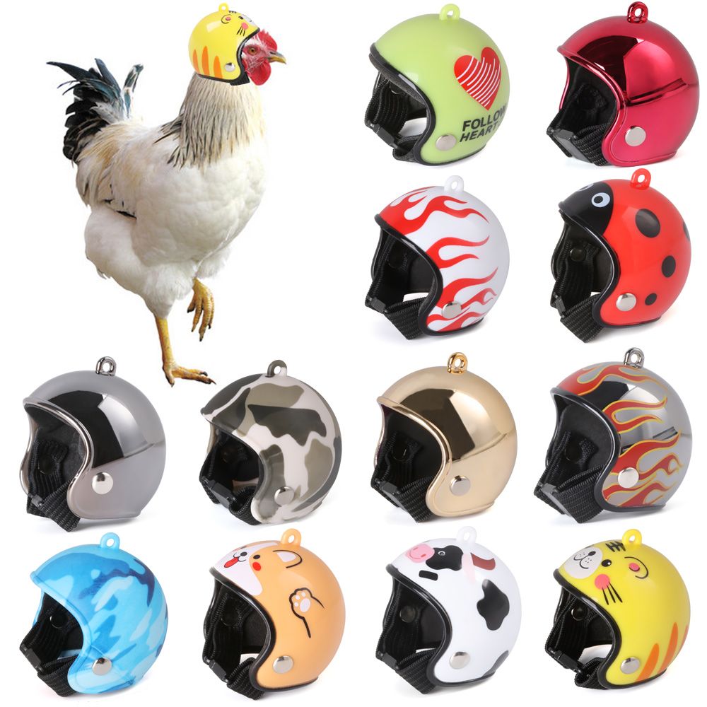 ABS Pet Supplies Funny Pet Pro - Pet X Supplies & Tack Howell Mi ulasan dan harga