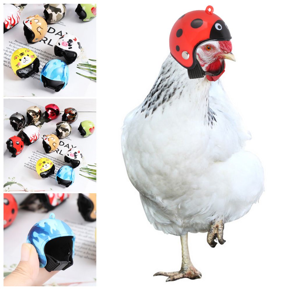 ABS Funny Pet Supplies Pet Pro - Pet X Supplies & Tack Howell Mi ulasan dan harga